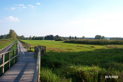 Federsee Rundwanderweg